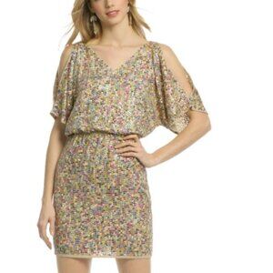 Tina Turk 14 Sequin Dress